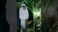 Pocong Jadi-Jadian Resahkan Warga Pamekasan