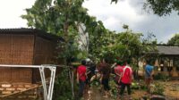 Angin Puting Beliung Jugak Menghatam Tempat Usaha Batik Tulis Canteng Koneng