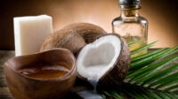 Buah Kelapa Yang Kaya Mamfaat Bagi Tubuh Kita