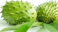 Sirsak”Buah Yang Satu ini Kaya Akan Kandungan Vitamin Dan Penyembuhan Penyakit