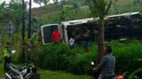 Rombongan Wisatawan Alami Kecelakaan Maut, 1 di Antaranya Tewas