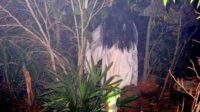 Seram..! Hantu Kuntilanak Sering Muncul di Jembatan Merah