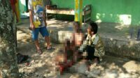 1 Orang Tewas 2 Kritis Akibat Ledakan Bahan Peledak