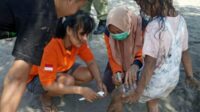 Heboh! Serangan Ubur-ubur Melanda Wisatawan di Pantai Parangtritis Yogyakarta