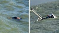 Warga Temukan Mayat Korban Laka Laut, Tim SAR Jatim Langsung Kelokasi Hari ini