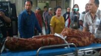 Pelaku Curanmor di Tembak Mati Saat Menyerang Petugas