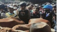 Maraknya Pencurian Sapi, Tim Cobra Polres Lumajang Lakukan Razia