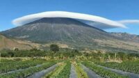 Heboh! Fenomena Alam Gunung Rinjani Diselimuti Topi Awan