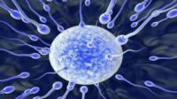 Cara Meningkatkan Kandungan Sperma Secara Alami