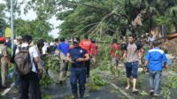 Lagi-lagi Angin Puting Beliung Terpa Kota Bangkalan dan 1 Orang Dilarikan Kerumah Sakit