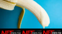 Bagi Yang Suka Konsumsi, Bahaya Sperma dan Penyakit Menular