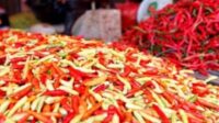 Pasca Cuaca Exstrime, Harga Cabai Keriting Melonjak Naik