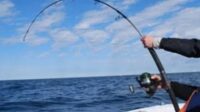 Teknik Memancing Yang Benar Dan Praktis Bagi Pemula