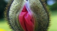 4 Macam Makanan Herbal Penambah Stamina Pria Perkasa