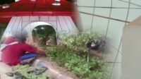 Baru Hitungan Hari Terpasang, Lampion Taman Adipura Rusak dan di Curi